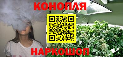 прущие грибы Пыть-Ях