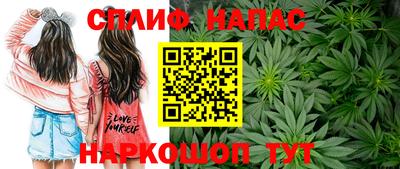 мдпв Пугачёв